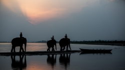 Chitwan